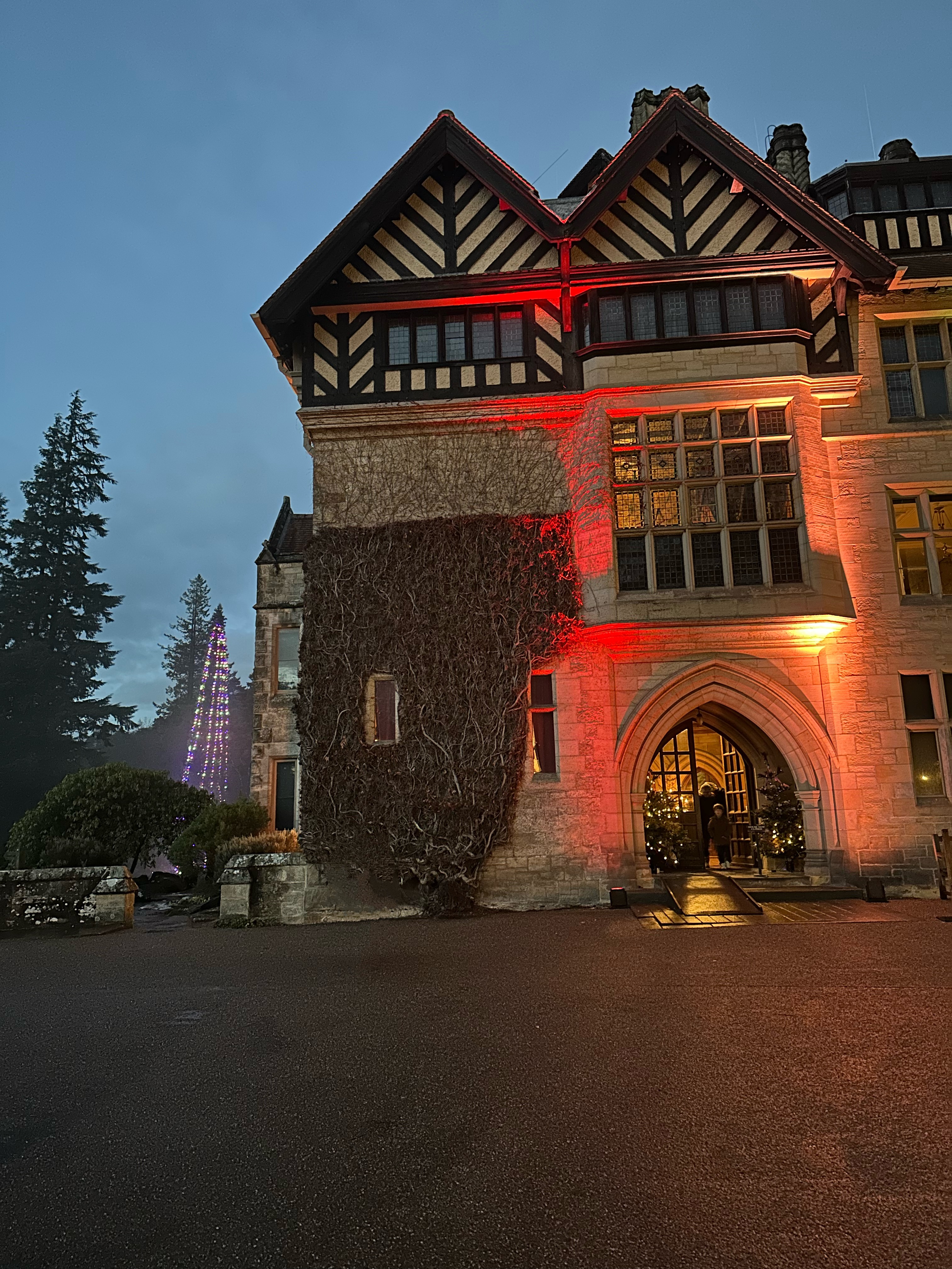 Worlds
Tallest Christmas Tree